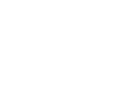 pattern garlic